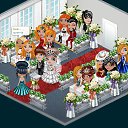 ���� Yoshic, �������, 42 ���� - ��������� 23 �������� 2012 � ������ �Tropikania�