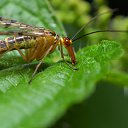 ���� �������, �����-���������, 39 ��� - ��������� 19 ������ 2012