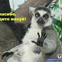 ���� ///-��������-///, ������, 49 ��� - ��������� 22 ���� 2013 � ������ ������� - �������