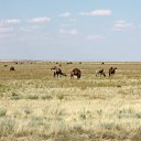 ���� ����, ����������� - ��������� 8 ������� 2012 � ������ �����������