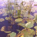 ���� �����, ������ ��������, 55 ��� - ��������� 2 ������ 2012