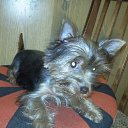 ����� �� ������� ���� ������