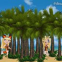 � �� ������� �Tropikania�