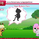 ���� ������, ��������� - ��������� 2 ������� 2010 � ������ �PetLove�