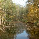 ���� ��� �����, ������� - ��������� 22 ������� 2012 � ������ �������,������� ��,�� �� ��� �����������..!�