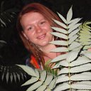 ���� �������, ����������, 38 ��� - ��������� 19 ���� 2012 � ������ ���� ����������