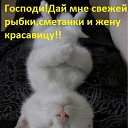 ���� �����, ������, 49 ��� - ��������� 27 ������ 2012 � ������ ���������