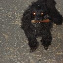 ���� Sergej, ��������, 67 ��� - ��������� 6 ����� 2012 � ������ ���� ����������