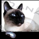 ���� ����. ��������� �� ��!, ������, 72 ���� - ��������� 14 ������ 2011 � ������ �������� ����