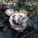 ���� ������, ������, 69 ��� - ��������� 25 ������� 2012 � ������ �������