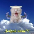 ���� ���������, ������, 43 ���� - ��������� 25 �������� 2011 � ������ �������