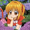 ���� �����, ���� - ��������� 7 ���� 2010 � ������ �������� �������