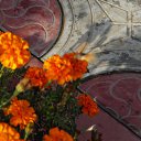 ���� ���������, ���������� - ��������� 22 ������� 2010 � ������ ������� � ��������...�