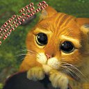���� ˸��, �����, 47 ��� - ��������� 27 ������� 2011 � ������ ���������