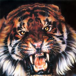 ���� ���, ������, 44 ���� - ��������� 8 �������� 2012