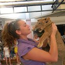 ���� ����, ������, 40 ��� - ��������� 14 ������� 2011 � ������ ������������