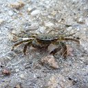 ���� ����, �������, 42 ���� - ��������� 19 ������� 2012 � ������ �������