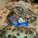  Dark    , -, 43  -  3  2013   