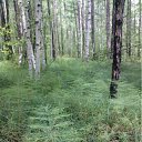 ���� �������, ����, 53 ���� - ��������� 9 ����� 2012 � ������ ���� ����������