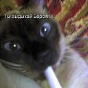 ���� ����, ��������� - ��������� 20 ���� 2013 � ������ ���� ����������