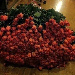 ���� ��������, ������ �������� - ��������� 25 ������ 2013