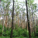 ���� �����, ��������, 45 ��� - ��������� 3 ������� 2010 � ������ ����� �������