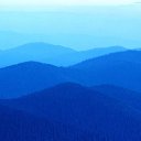 ���� ���������, �����������, 40 ��� - ��������� 31 ������ 2013 � ������ ���� ����������