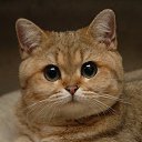 ���� ���� ���������, �����������, 28 ��� - ��������� 24 ������ 2012