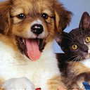 ���� �����, �����, 34 ���� - ��������� 26 ������ 2012