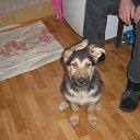 � ����� ������ � ��� - ������ ����������� �����