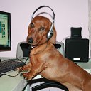  ,  , 59  -  14  2011