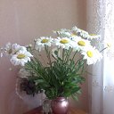 ���� Smile, ������, 55 ��� - ��������� 20 ������ 2010 � ������ ���� ����� � ������