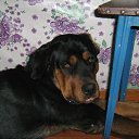 �� ���� ! �� ������� ����� ��� ������������