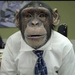 A��������, ������, 64 ����