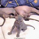 ���� �@����@, ������, 42 ���� - ��������� 26 ������� 2009 � ������ ���������