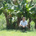 ���� �������, �����������, 66 ��� - ��������� 7 ������� 2011