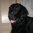 ���� Romantic, ����, 33 ���� - ��������� 2 ������ 2009 � ������ �� � ������