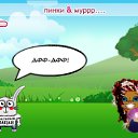  Infinitty, , 27  -  9  2010   PetLove