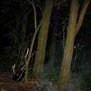 ���� �������, ������, 36 ��� - ��������� 29 ������ 2009 � ������ �������