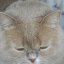 ���� ������, ���! - ��������� 13 ���� 2013 � ������ ����� ��� ������������