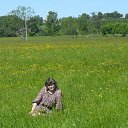        ,        ....       ,      ....