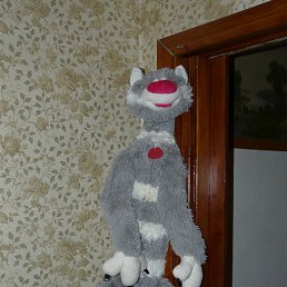 ���� ��������, �����-���������, 39 ��� - ��������� 5 ������ 2010