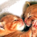 ��������� ����!!!