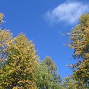 ���� Xameleon, ������, 42 ���� - ��������� 31 ������� 2009 � ������ ����������� ��������� ���� � ������