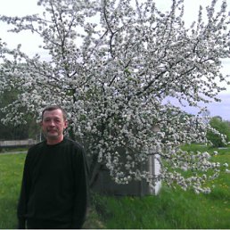 ���� ������, �����������, 70 ��� - ��������� 29 ��� 2012