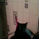 ���� ������, ����������, 45 ��� - ��������� 8 ����� 2012 � ������ ���� ������