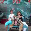 � ������� � ������(�����) �� ������� ������� ������ 2009�