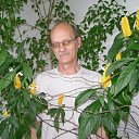 ���� �������, �����������, 66 ��� - ��������� 5 ������ 2012 � ������ ���� ����������