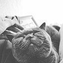 ������� ������� :3 �� ������� ����� ��� ������������