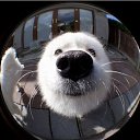 ������ �� ������� ����������� :-)�